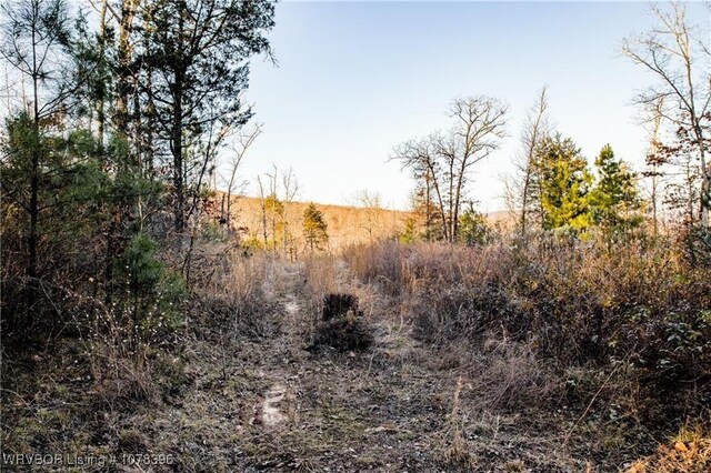 TBD Liberty Hill Rd, Natural Dam, AR 72948