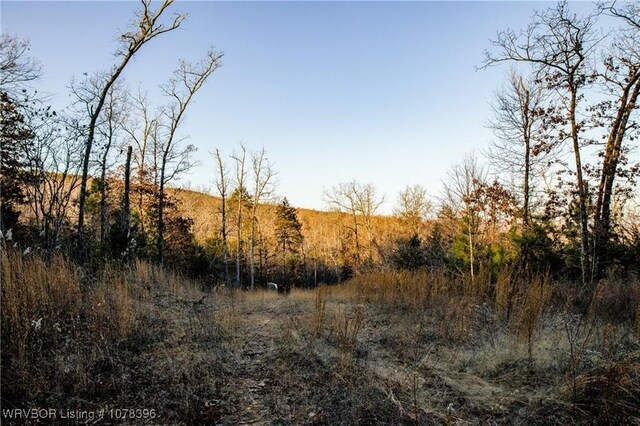TBD Liberty Hill Rd, Natural Dam, AR 72948