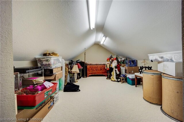 additional living space with carpet, a textured ceiling, and lofted ceiling