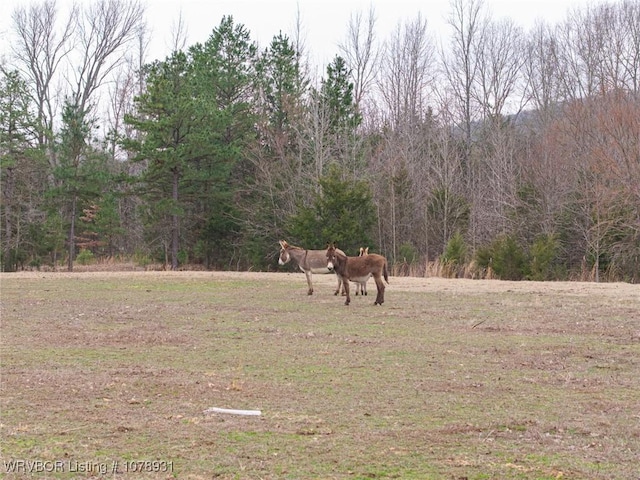 view of yard featuring a rural view