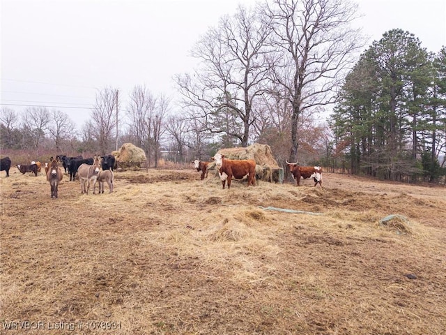 view of yard with a rural view