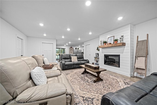 living room with a fireplace and wood-type flooring