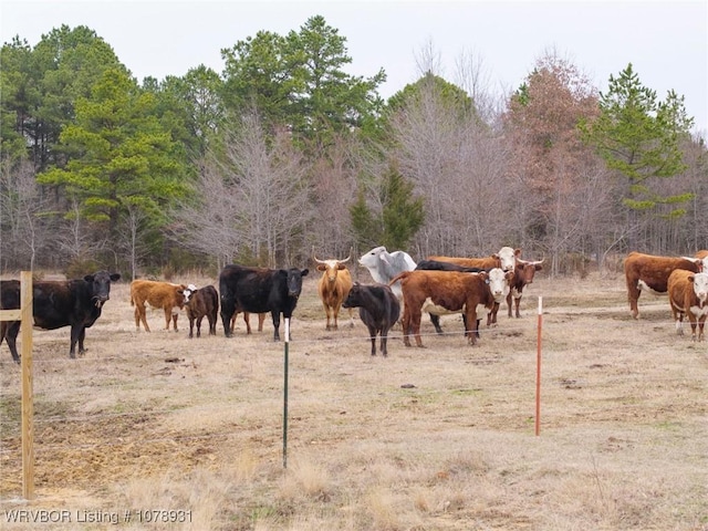 exterior space featuring a rural view