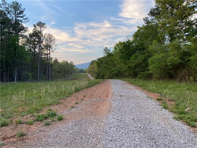 TBDLOT2 W Hartford Rd, Hartford, AR 72938 - photo 4