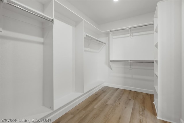 walk in closet with light hardwood / wood-style flooring