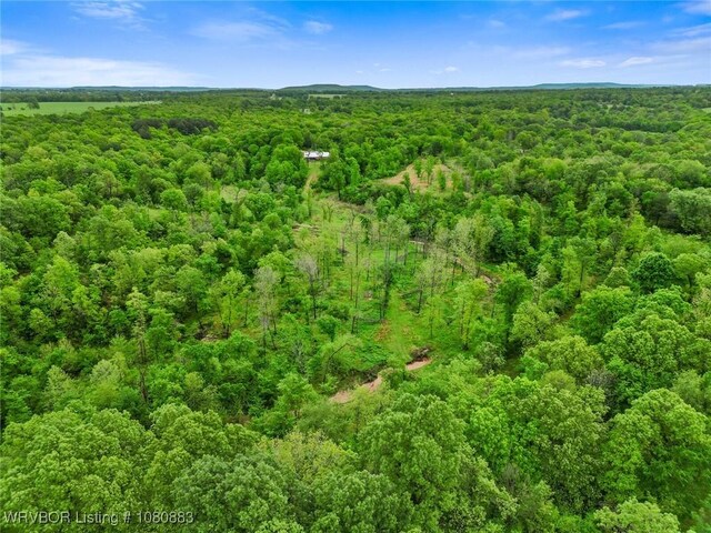 471962 E 720, Westville, OK 74965 - bird's eye view of a forest
