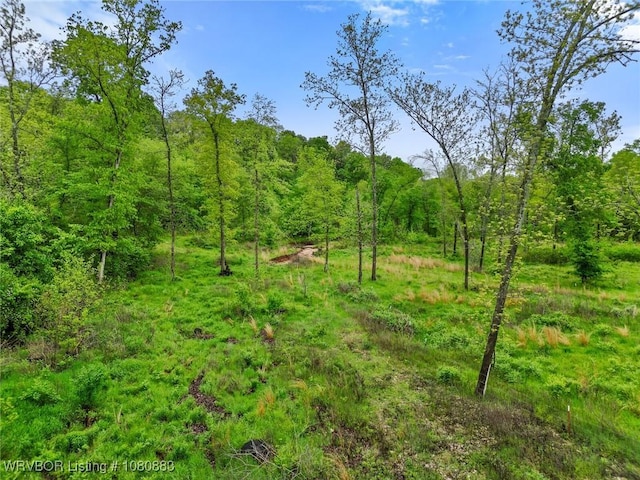 471962 E 720, Westville, OK 74965 - view of tree filled area