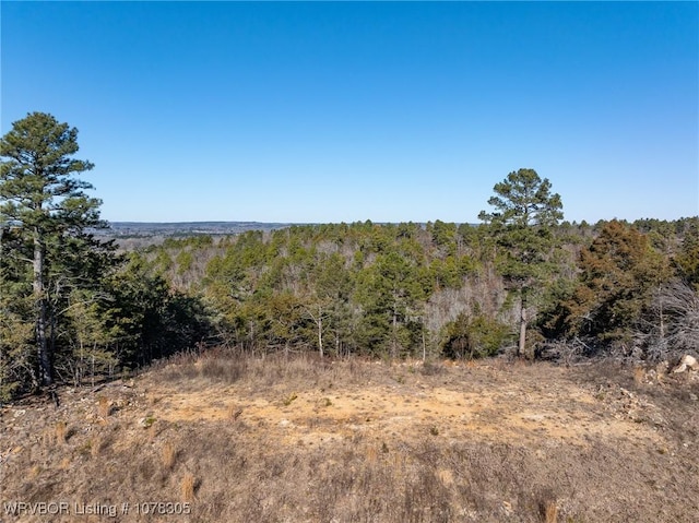 Listing photo 3 for TBD Highway 217, Booneville AR 72927