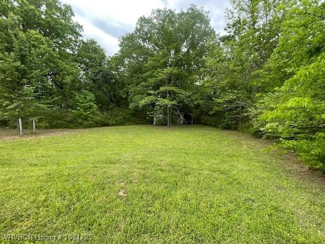 310 Butler St, Lavaca, AR 72941 - view of green lawn