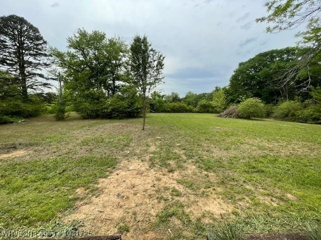 310 Butler St, Lavaca, AR 72941 - view of green lawn