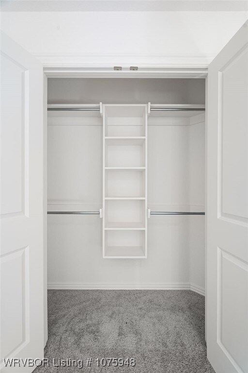 view of closet