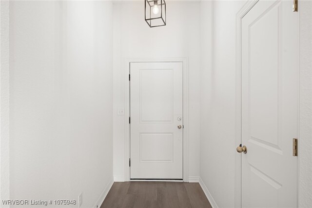 doorway featuring dark hardwood / wood-style floors