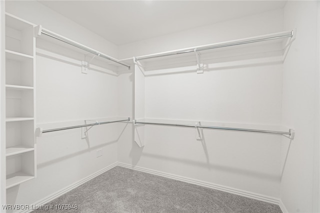 spacious closet with carpet floors