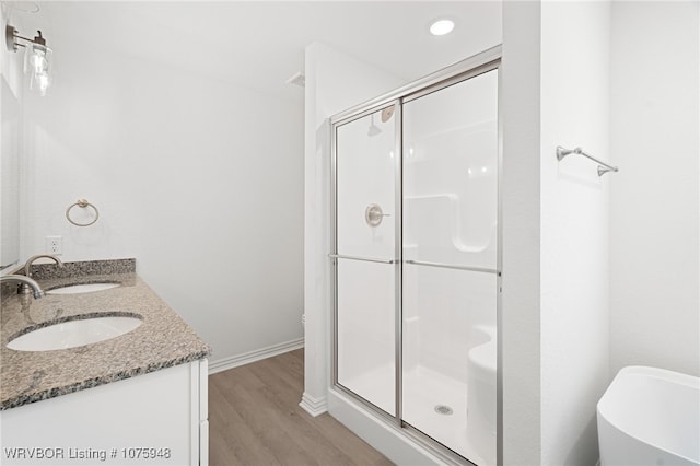 bathroom with vanity, wood-type flooring, and walk in shower