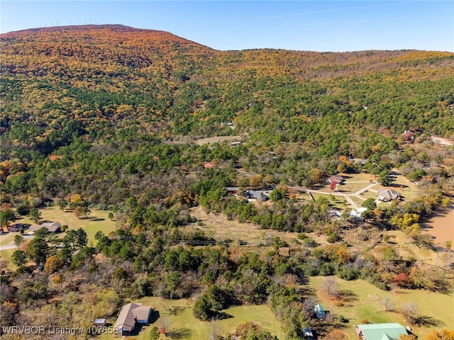 bird's eye view featuring a mountain view