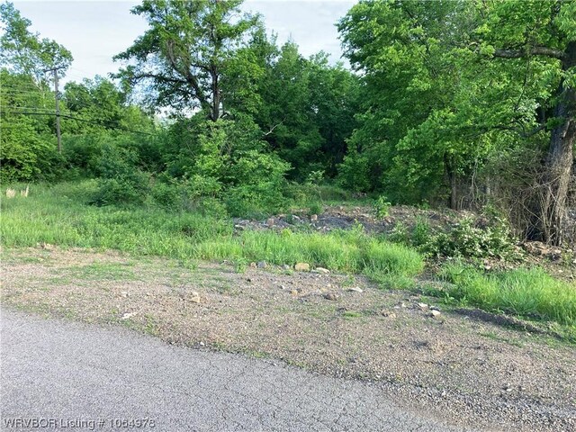 221 Main St, Hartford AR, 72938 land for sale