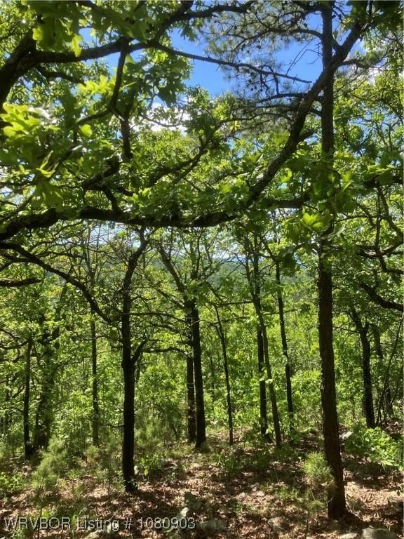 TBD Highway 82, Mccurtain, OK 74944