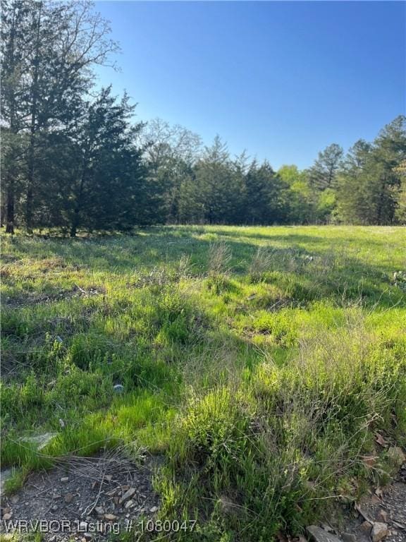 TBD N 4419th Ln, Ringold, OK 74754 - photo 21