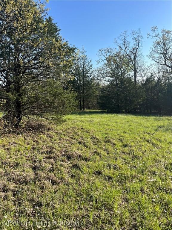 TBD N 4419th Ln, Ringold, OK 74754 - photo 19