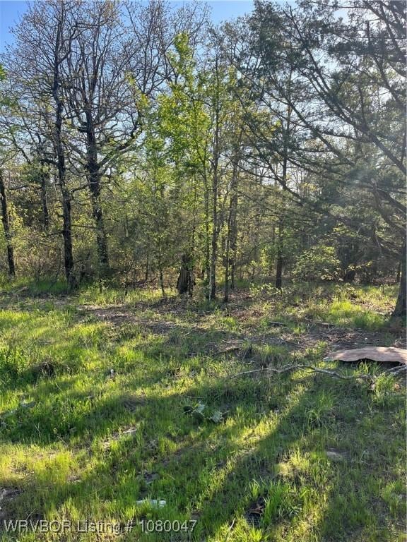 TBD N 4419th Ln, Ringold, OK 74754 - photo 24
