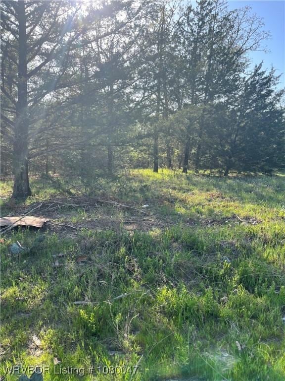 TBD N 4419th Ln, Ringold, OK 74754 - photo 26