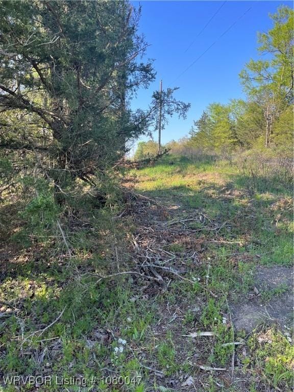 TBD N 4419th Ln, Ringold, OK 74754 - photo 18