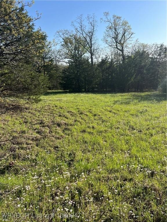 TBD N 4419th Ln, Ringold, OK 74754 - photo 15