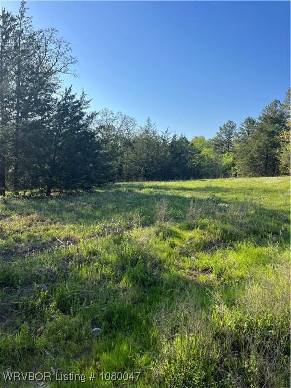 TBD N 4419th Ln, Ringold, OK 74754 - photo 25