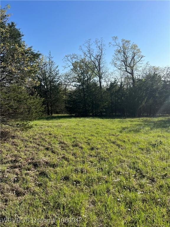 TBD N 4419th Ln, Ringold, OK 74754 - photo 23