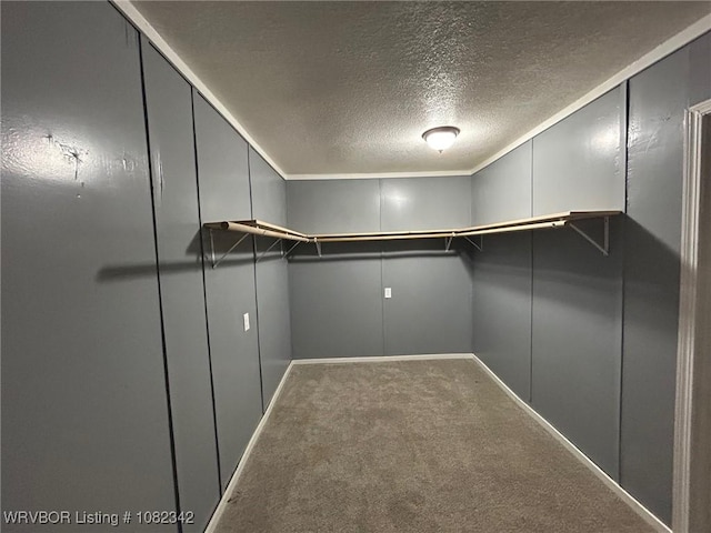 39668 S Barton, Fanshawe, OK 74935 - walk in closet featuring carpet floors