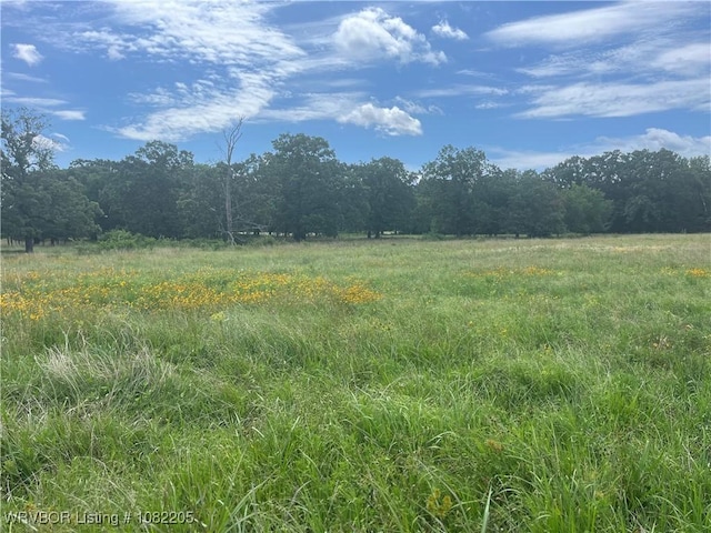 TRACT21 Bean Patch Loop, Howe, OK 74940 - photo 7