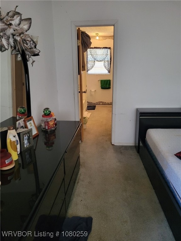 113614 S 4640th Rd, Gans, OK 74936 - view of carpeted bedroom