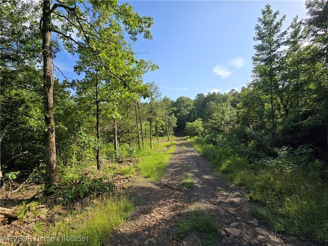 5AC Walker Mountain Rd, Heavener, OK 74937 - photo 16