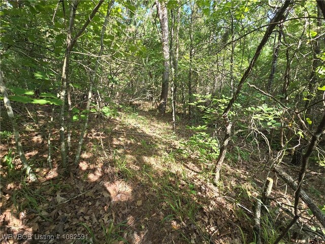 5AC Walker Mountain Rd, Heavener, OK 74937 - photo 11