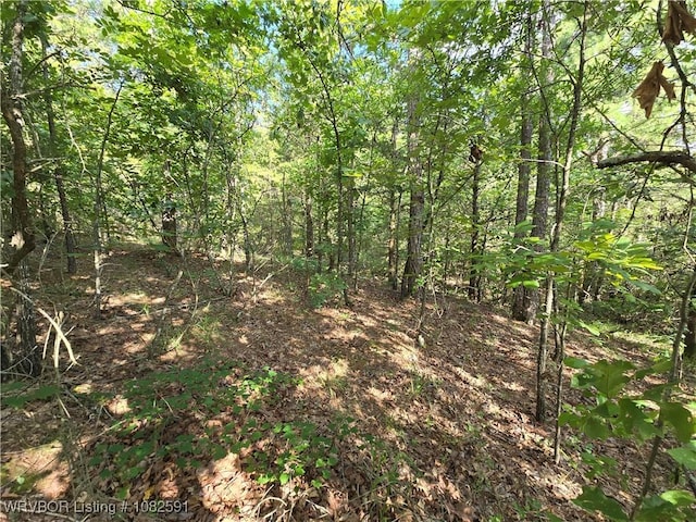 5AC Walker Mountain Rd, Heavener, OK 74937 - photo 7