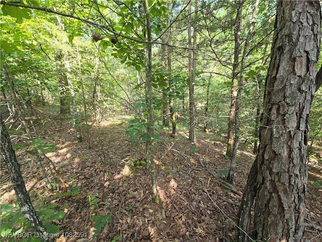 5AC Walker Mountain Rd, Heavener, OK 74937 - photo 8