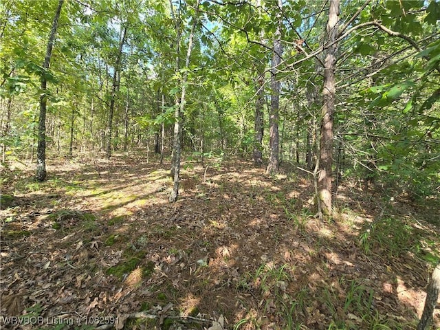5AC Walker Mountain Rd, Heavener, OK 74937 - photo 14