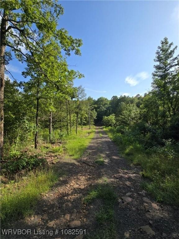 5AC Walker Mountain Rd, Heavener, OK 74937 - photo 15