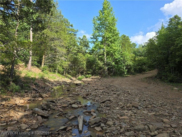 5AC Walker Mountain Rd, Heavener, OK 74937 - photo 2