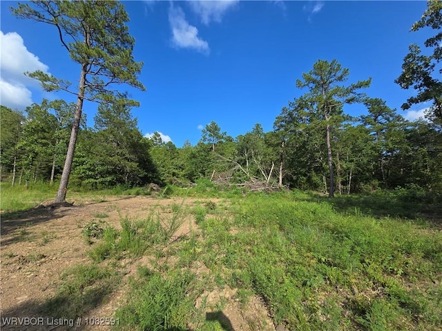 5AC Walker Mountain Rd, Heavener, OK 74937 - photo 6