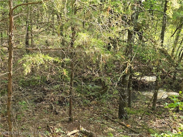 5AC Walker Mountain Rd, Heavener, OK 74937 - photo 13