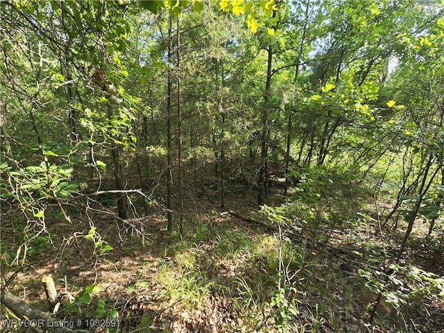 5AC Walker Mountain Rd, Heavener, OK 74937 - photo 12