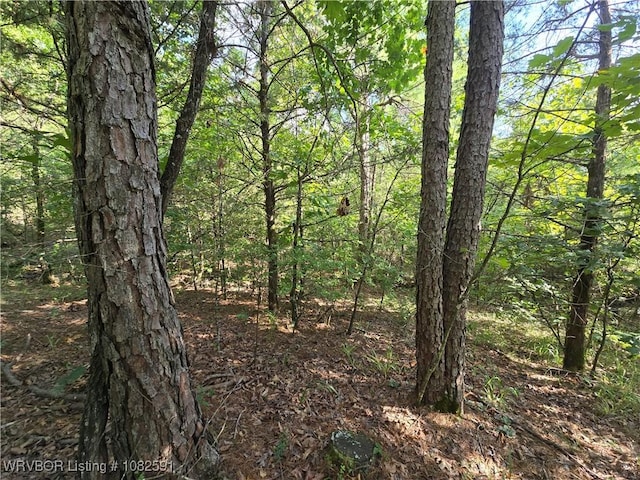 5AC Walker Mountain Rd, Heavener, OK 74937 - photo 9