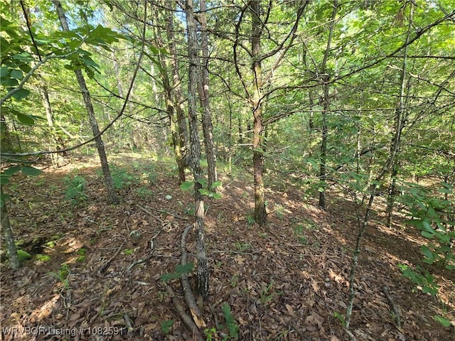 5AC Walker Mountain Rd, Heavener, OK 74937 - photo 10