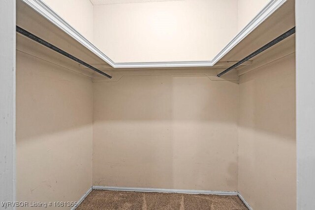 100 S Meadow Pl, Clarksville, AR 72830 - photo 33