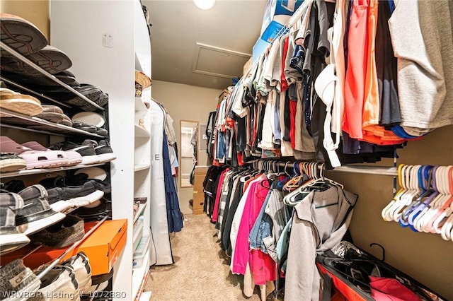 spacious closet with light colored carpet