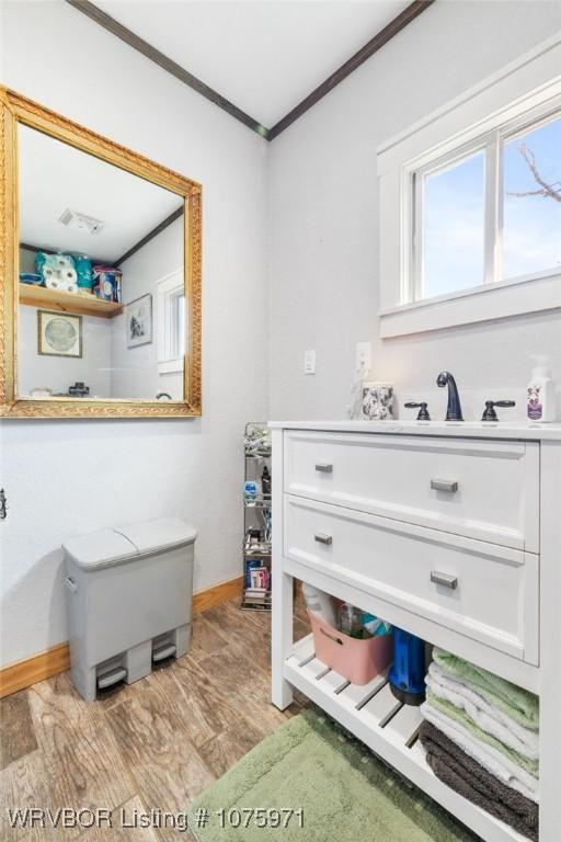 interior space featuring wood-type flooring, vanity, and crown molding