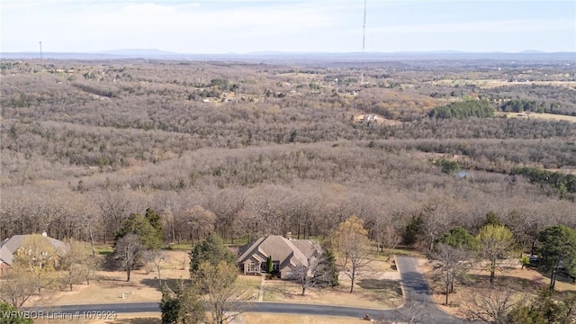 drone / aerial view