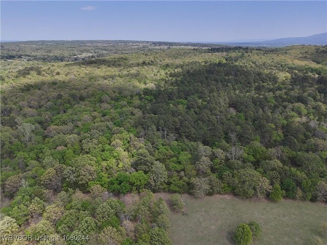 TRACT10 Station Rd, Bokoshe, OK 74930 - photo 9