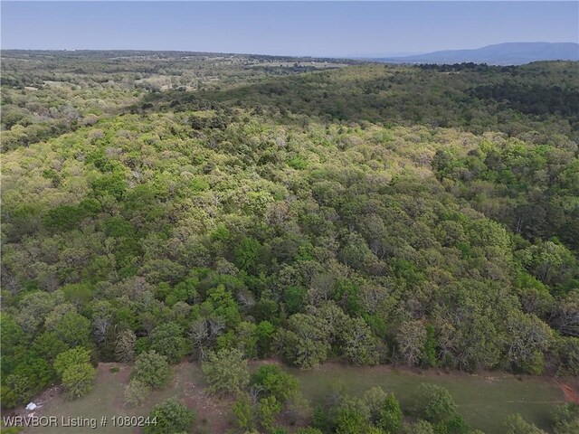 TRACT10 Station Rd, Bokoshe, OK 74930 - photo 7